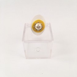 Anello modello 4