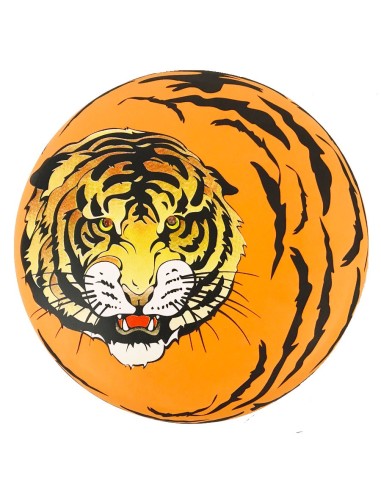 Frisbee che si illumina Squilla Brilla