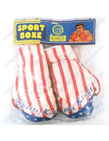 Guantoni Sport Box per diventare un vero boxer