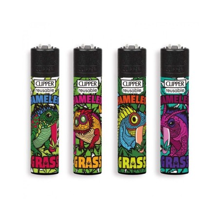 Clipper Large Fantasia CHAMALEON GRASS - 4 Accendini