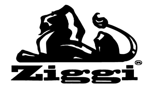 Ziggi
